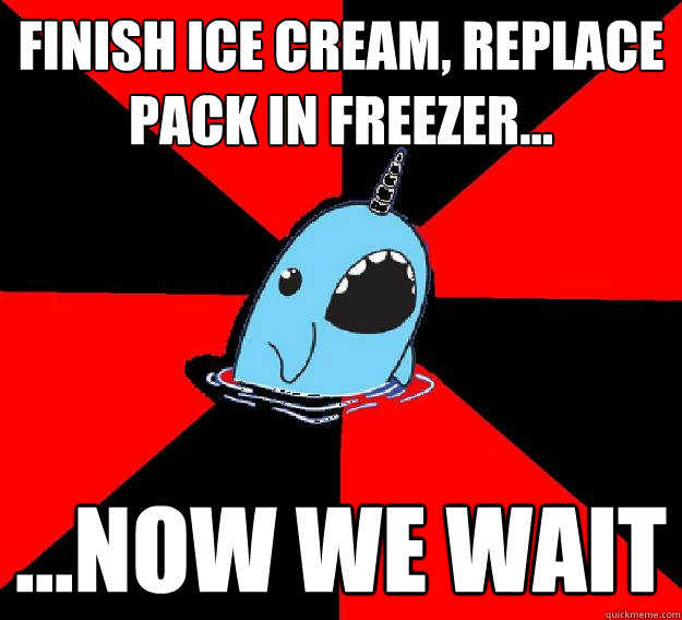 Finish ice cream, replace pack in freezer... ...now we wait  