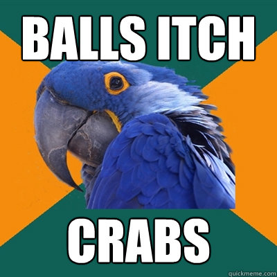 Balls Itch CRABS  Paranoid Parrot