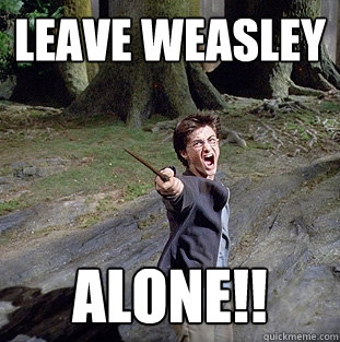 leave weasley alone!!  Pissed off Harry
