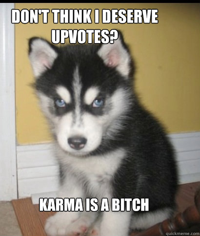 Don't think i deserve upvotes? karma is a bitch  