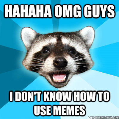 hahaha omg guys i don't know how to use memes  Lame Pun Raccoon