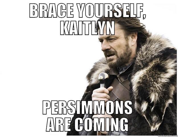 BRACE YOURSELF, KAITLYN PERSIMMONS ARE COMING Imminent Ned