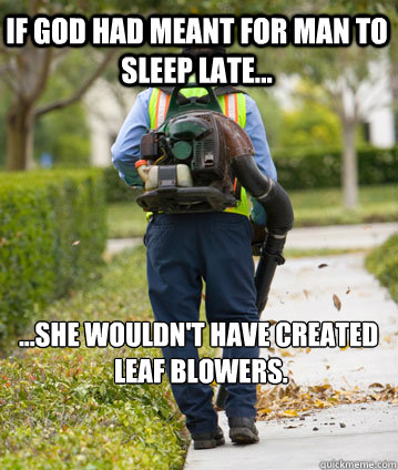 If God had meant for Man to sleep late... ...She wouldn't have created
 leaf blowers.   Mexican Leafblower