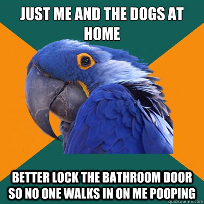 Just me and the dogs at home Better lock the bathroom door so no one walks in on me pooping - Just me and the dogs at home Better lock the bathroom door so no one walks in on me pooping  Paranoid Parrot