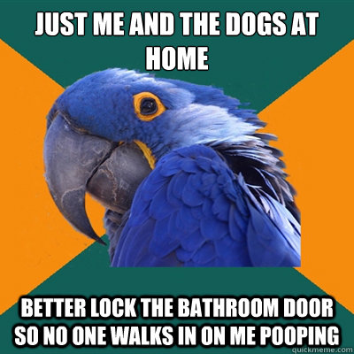 Just me and the dogs at home Better lock the bathroom door so no one walks in on me pooping  Paranoid Parrot