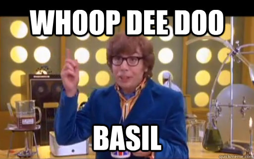 whoop dee doo basil  Whoop Dee Doo Basil