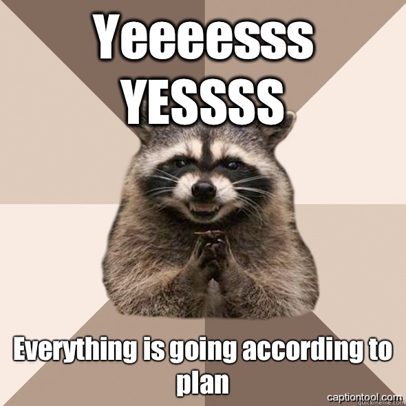 Yeeeesss YESSSS Everything is going according to
plan - Yeeeesss YESSSS Everything is going according to
plan  DLI real Scheming raccoons
