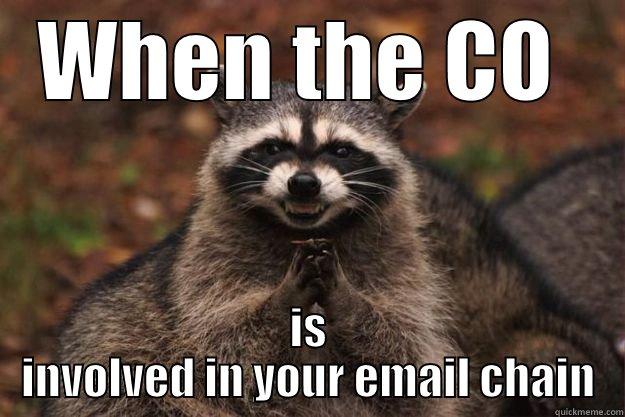 email jokes - WHEN THE CO  IS INVOLVED IN YOUR EMAIL CHAIN Evil Plotting Raccoon