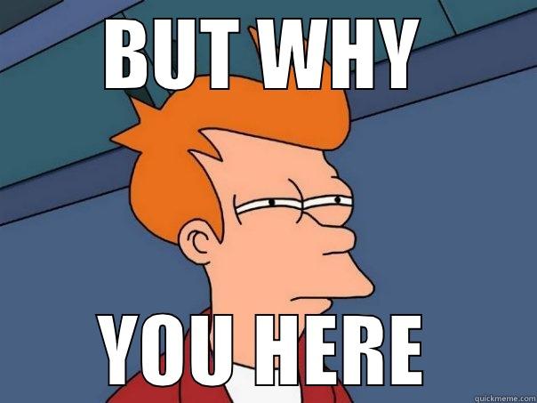 BUT WHY YOU HERE Futurama Fry
