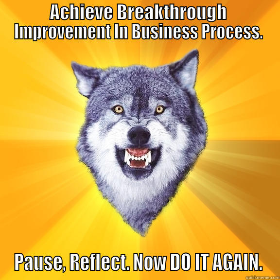 ACHIEVE BREAKTHROUGH IMPROVEMENT IN BUSINESS PROCESS. PAUSE, REFLECT. NOW DO IT AGAIN. Courage Wolf