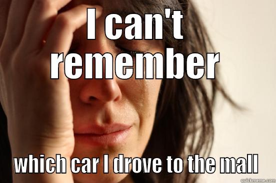 I CAN'T REMEMBER WHICH CAR I DROVE TO THE MALL First World Problems