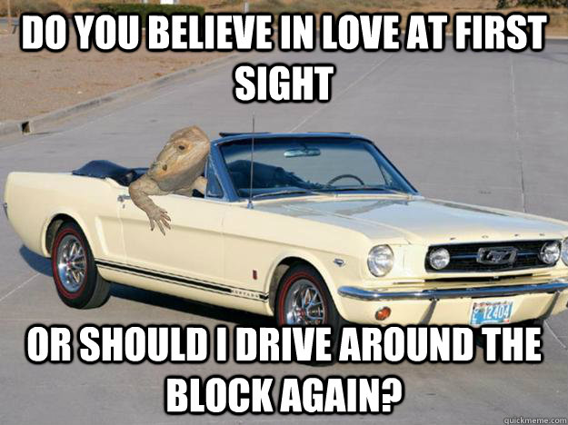 do you believe in love at first sight or should i drive around the block again? - do you believe in love at first sight or should i drive around the block again?  Pickup Dragon