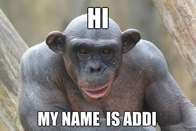 Hi My name  is addi  The Most Interesting Chimp In The World