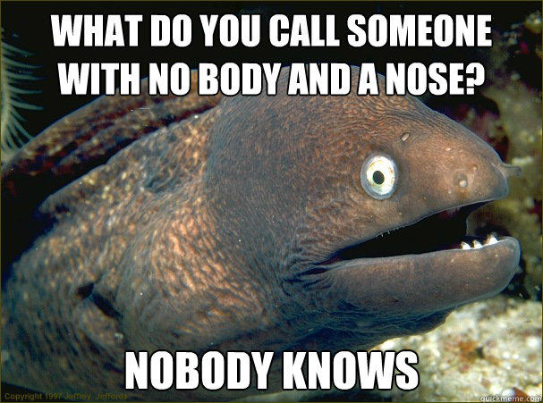 What do you call someone with no body and a nose? Nobody Knows  Bad Joke Eel