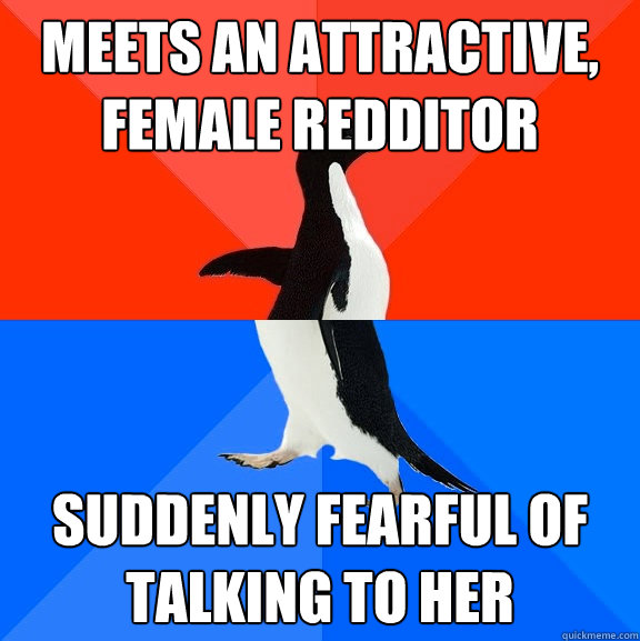 meets an attractive, female redditor suddenly fearful of talking to her  Socially Awesome Awkward Penguin