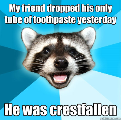My friend dropped his only tube of toothpaste yesterday He was crestfallen  Lame Pun Coon