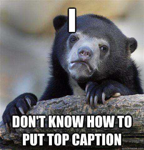 I don't know how to put top caption  Confession Bear