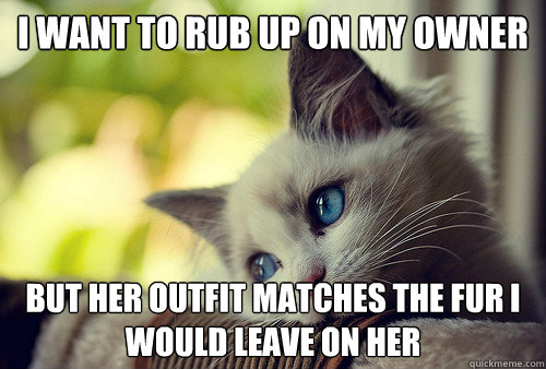 I want to rub up on my owner but her outfit matches the fur i would leave on her  First World Problems Cat