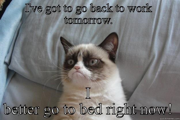 I'VE GOT TO GO BACK TO WORK TOMORROW. I BETTER GO TO BED RIGHT NOW! Grumpy Cat