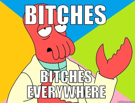 BITCHES BITCHES EVERYWHERE Futurama Zoidberg 