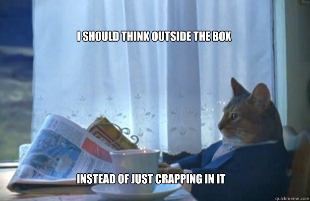 I should think outside the box instead of just crapping in it  Sophisticated Cat