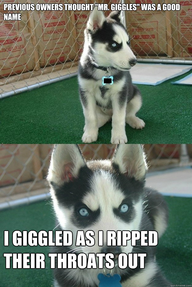 Previous Owners Thought 