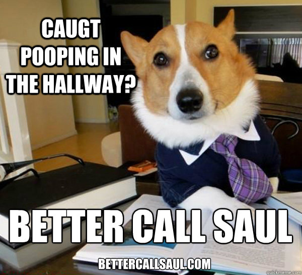 caugt pooping in the Hallway? Better Call Saul
 bettercallsaul.com - caugt pooping in the Hallway? Better Call Saul
 bettercallsaul.com  Lawyer Dog