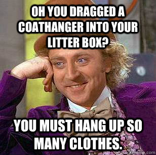 Oh you dragged a coathanger into your litter box? You must hang up so many clothes.  Condescending Wonka