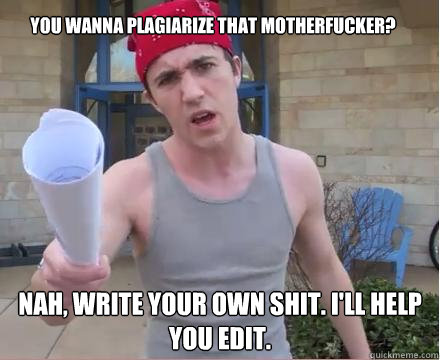 You wanna plagiarize that motherfucker? Nah, write your own shit. I'll help you edit.  Morally Straight Homeboy