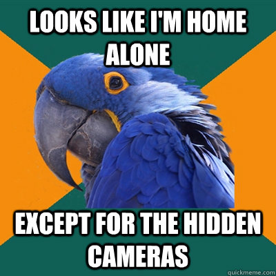 Looks like I'm home alone Except for the hidden cameras  Paranoid Parrot