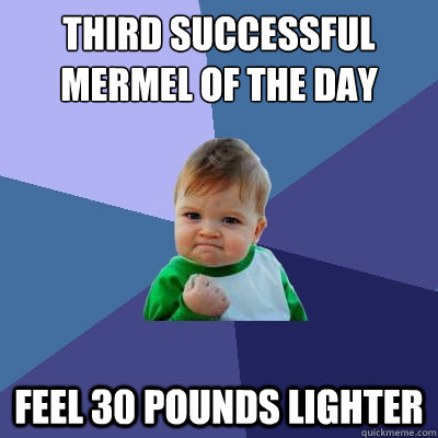 third successful mermel of the day feel 30 pounds lighter  Success Kid