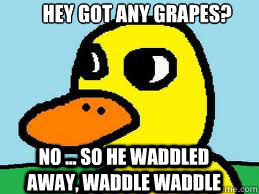 Hey Got any Grapes? No So he waddled away, waddle waddle - The duck