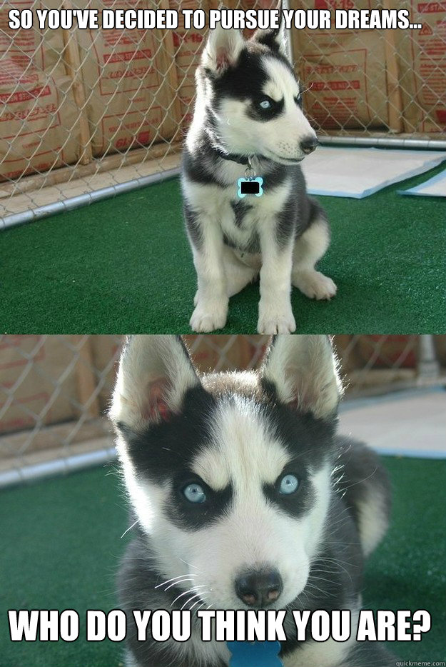 So you've decided to pursue your dreams... 

Who do you think you are?  Insanity puppy