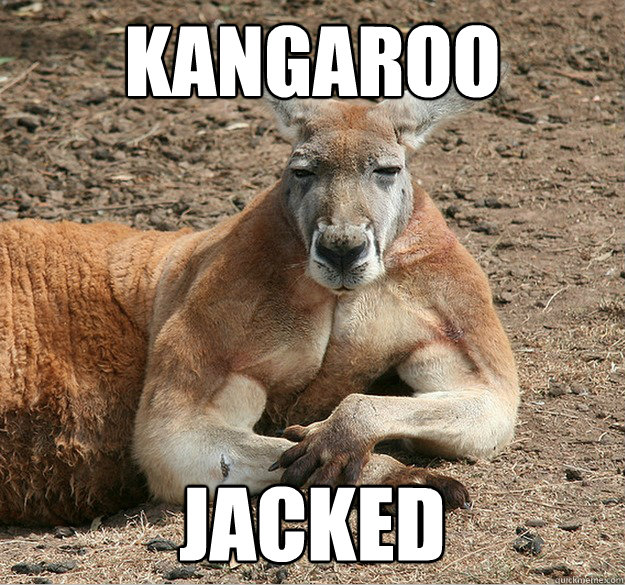 Kangaroo Jacked  Kangaroo Jacked