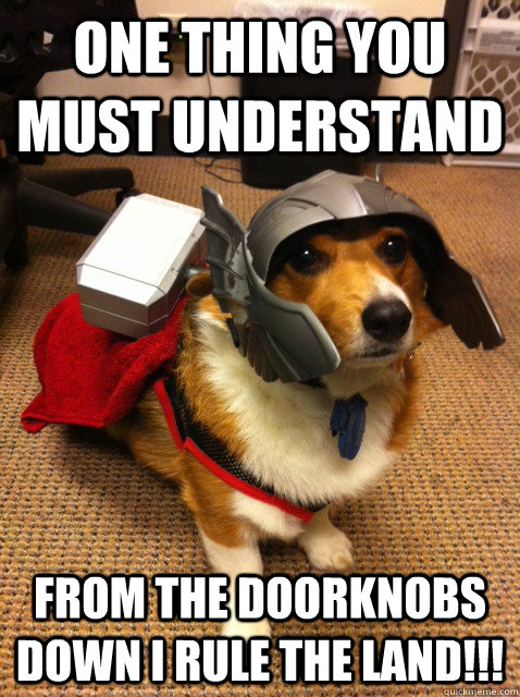 One thing you must understand From the doorknobs down I RULE THE LAND!!!  Thorgi Dog of Thunder
