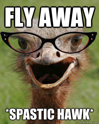 FLy AWAY *Spastic Hawk*  Judgmental Bookseller Ostrich