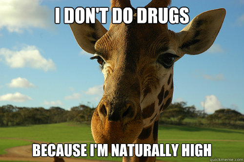 I don't do drugs Because i'm naturally high  evolution of giraffe