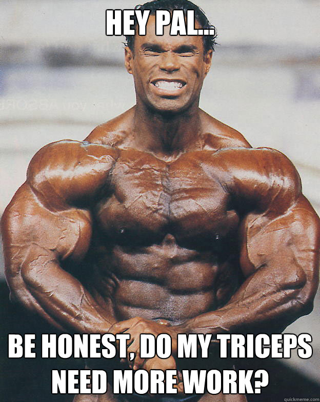 Hey pal... Be honest, do my triceps need more work?  
