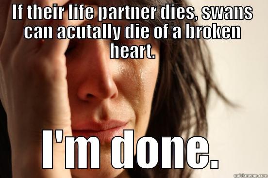 IF THEIR LIFE PARTNER DIES, SWANS CAN ACUTALLY DIE OF A BROKEN HEART. I'M DONE. First World Problems