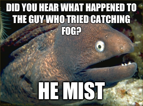 Did you hear what happened to the guy who tried catching fog? He mist  Bad Joke Eel