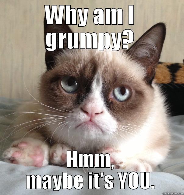 WHY AM I GRUMPY? HMM, MAYBE IT'S YOU. Misc