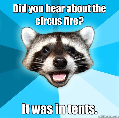 Did you hear about the circus fire? It was in tents.  Lame Pun Coon
