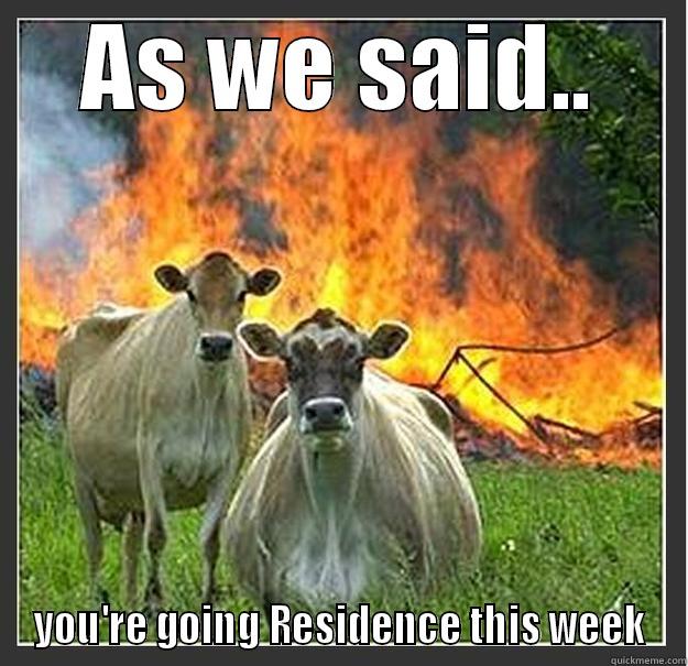 Dancing cows - AS WE SAID.. YOU'RE GOING RESIDENCE THIS WEEK Evil cows