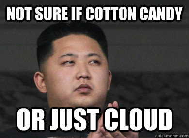 not sure if cotton candy or just cloud - not sure if cotton candy or just cloud  Skeptical Kim Jong Un