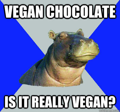 vegan chocolate is it really vegan? - vegan chocolate is it really vegan?  Skeptical Hippo