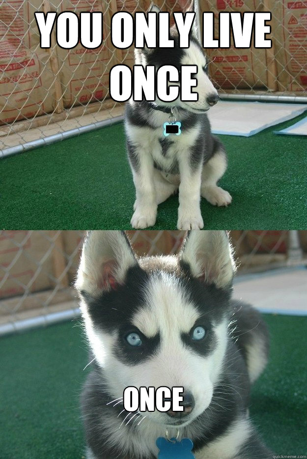 You Only Live Once ONCE  Insanity puppy