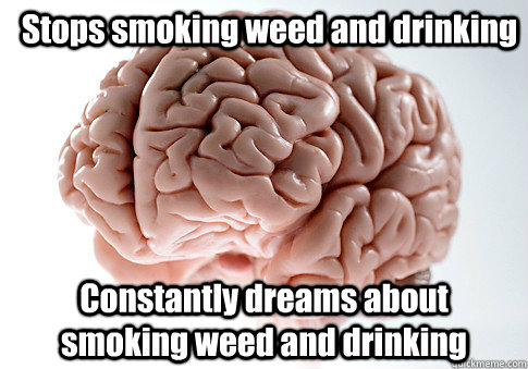 Stops smoking weed and drinking Constantly dreams about smoking weed and drinking  Scumbag Brain