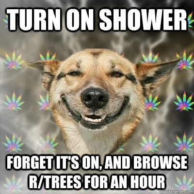 Turn on shower forget it's on, and browse r/trees for an hour  Stoner Dog