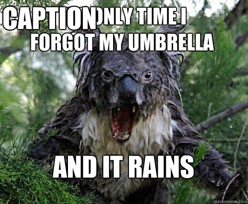 The only time I 
forgot my umbrella and it rains Caption 3 goes here - The only time I 
forgot my umbrella and it rains Caption 3 goes here  Angry Koala