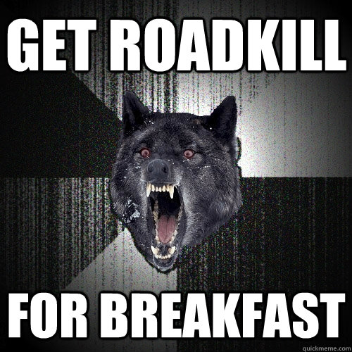 get roadkill for breakfast  Insanity Wolf